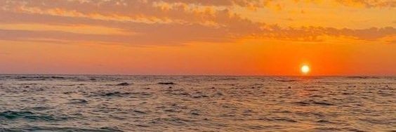 Codr1n3's profile banner image