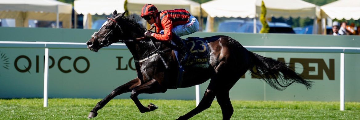 Callum Rodriguez banner