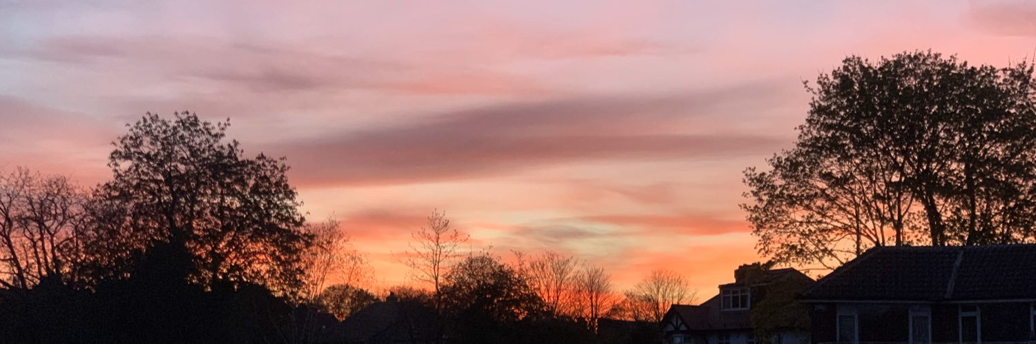 Reece Donovan banner