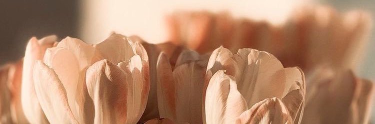 _PRAEPOY's profile banner image