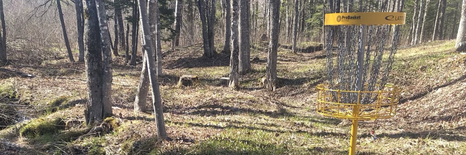 tinychangesdiscgolf banner