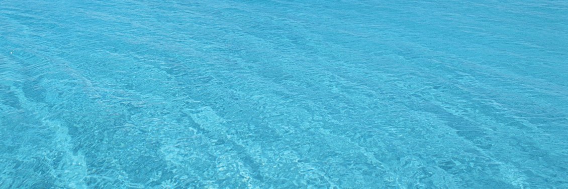 maya 🌊's banner