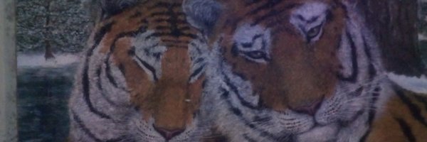 NeilSalter4 Profile Banner