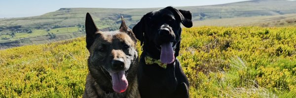 Macyadventures Profile Banner