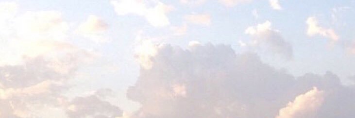 Fleurr_Purple's profile banner image