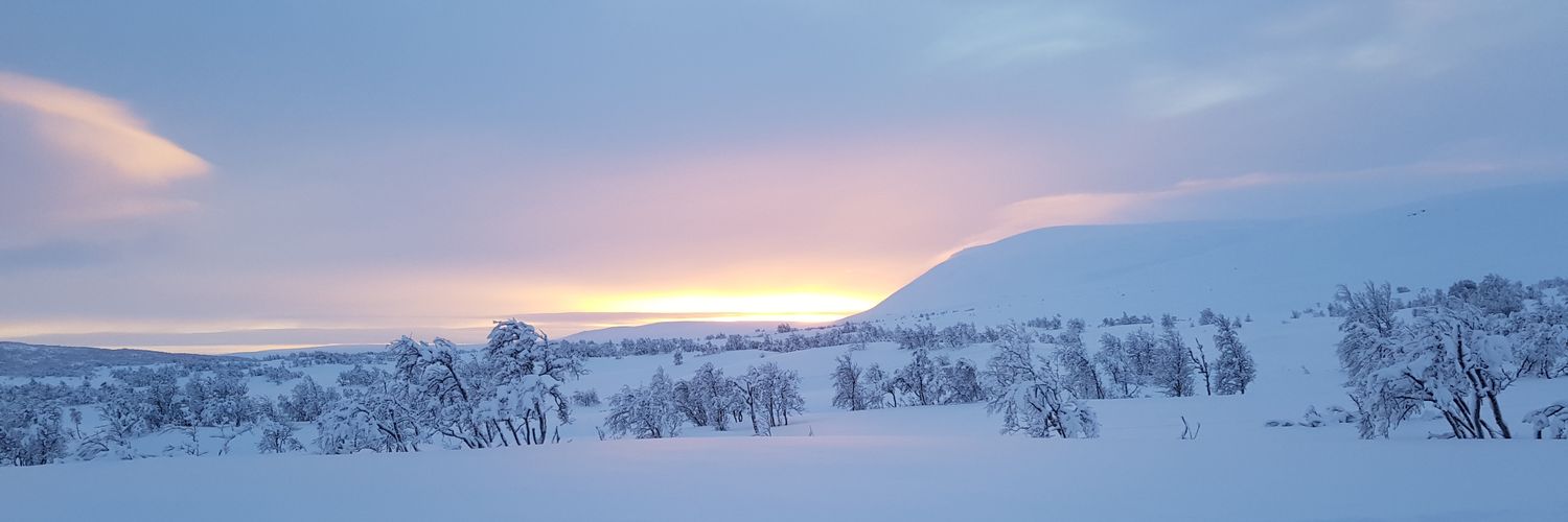 Menbytda's profile banner image
