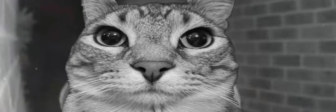 Hugo banner