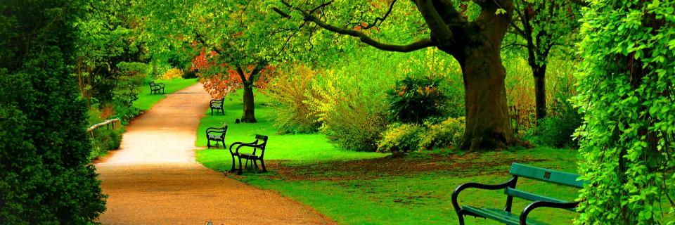 Bhupendra225's profile banner image