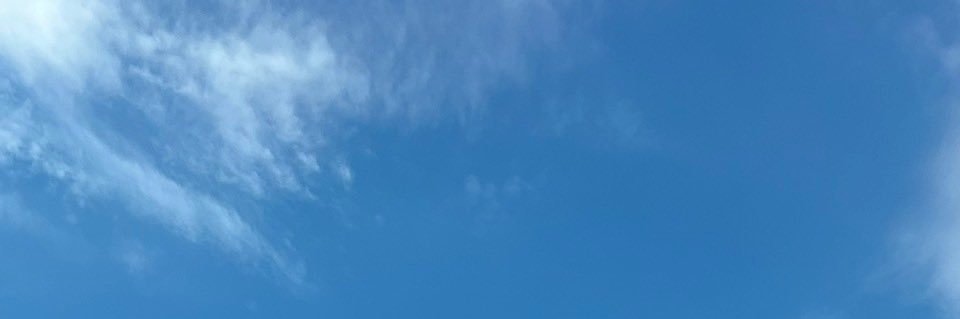 さくら/投資専用垢🌱 banner