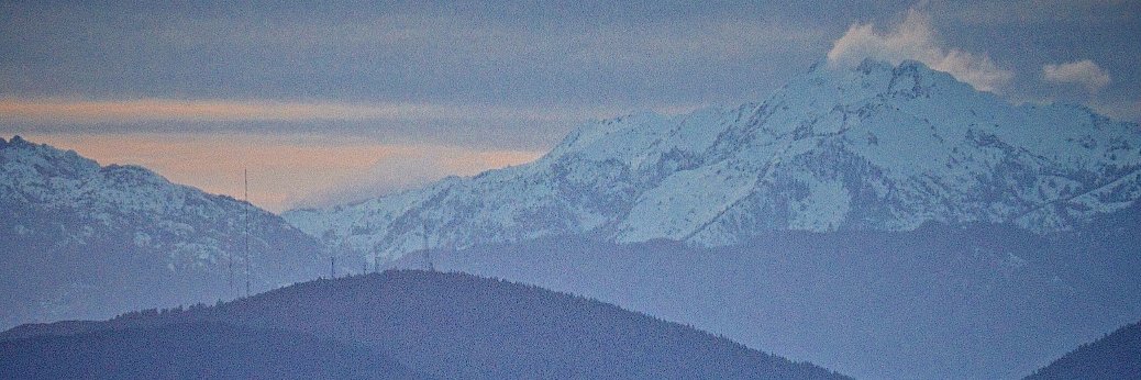 WestsideSeattlenews banner