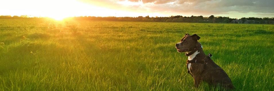 JudeHill71's profile banner image