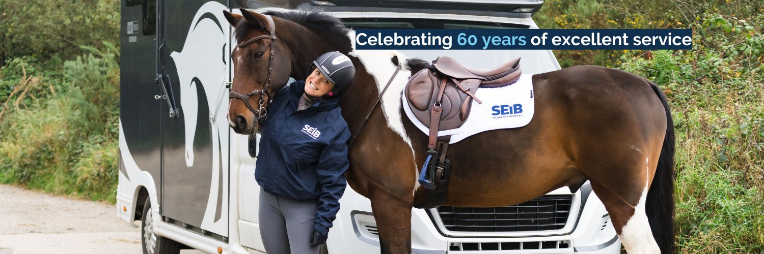 SEIB Insurance banner