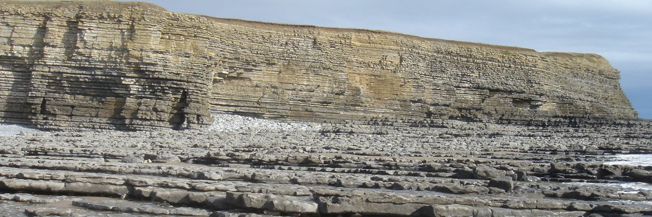 Stephen Lokier banner