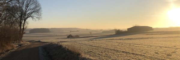 ThorstenBr Profile Banner