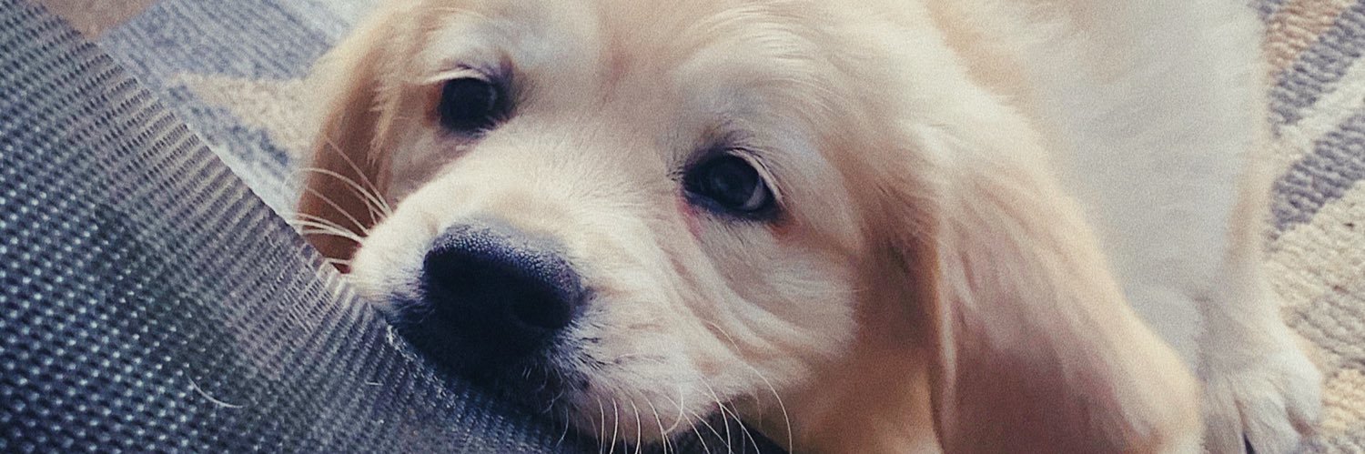 KxtiePlxtts's profile banner image