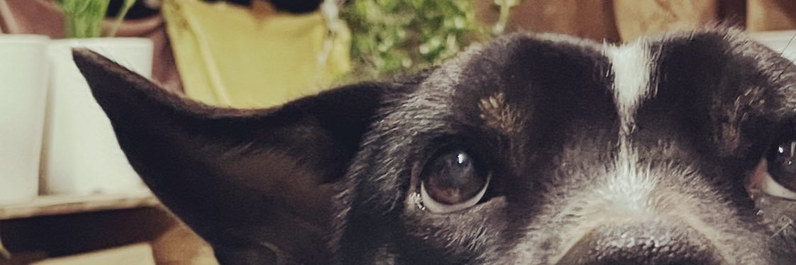 sniperAyumin's profile banner image
