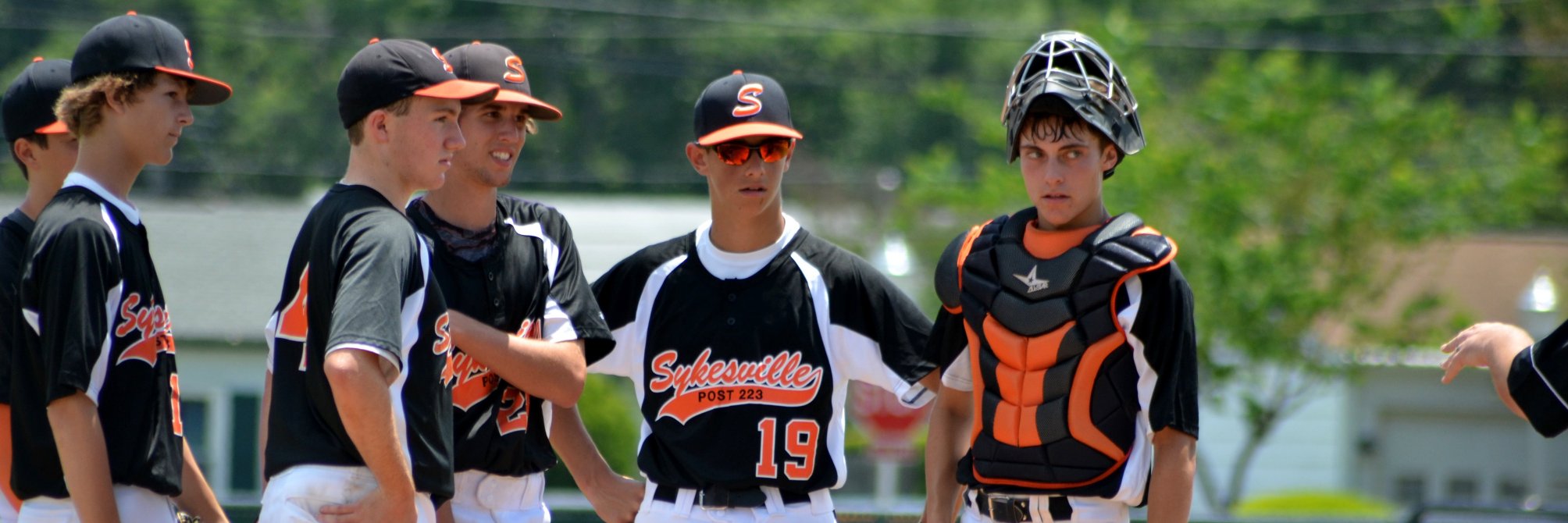 Post223Baseball banner