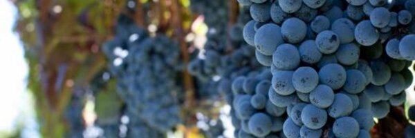 OWB2B Profile Banner