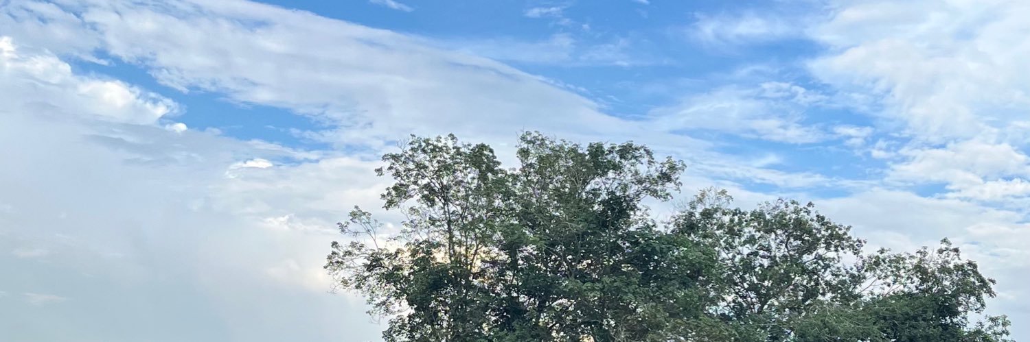 nzamhasri's profile banner image