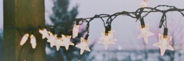 Pansetta_ Profile Banner