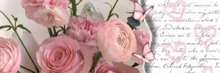 ᯭ 𝙕ꏿꑒꋬꋬᯱ​᭄∞ banner