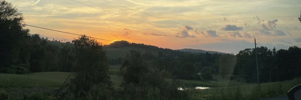 toriireinhardd Profile Banner