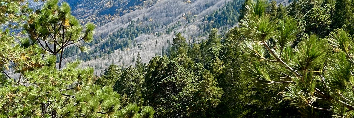 andyelizag's profile banner image
