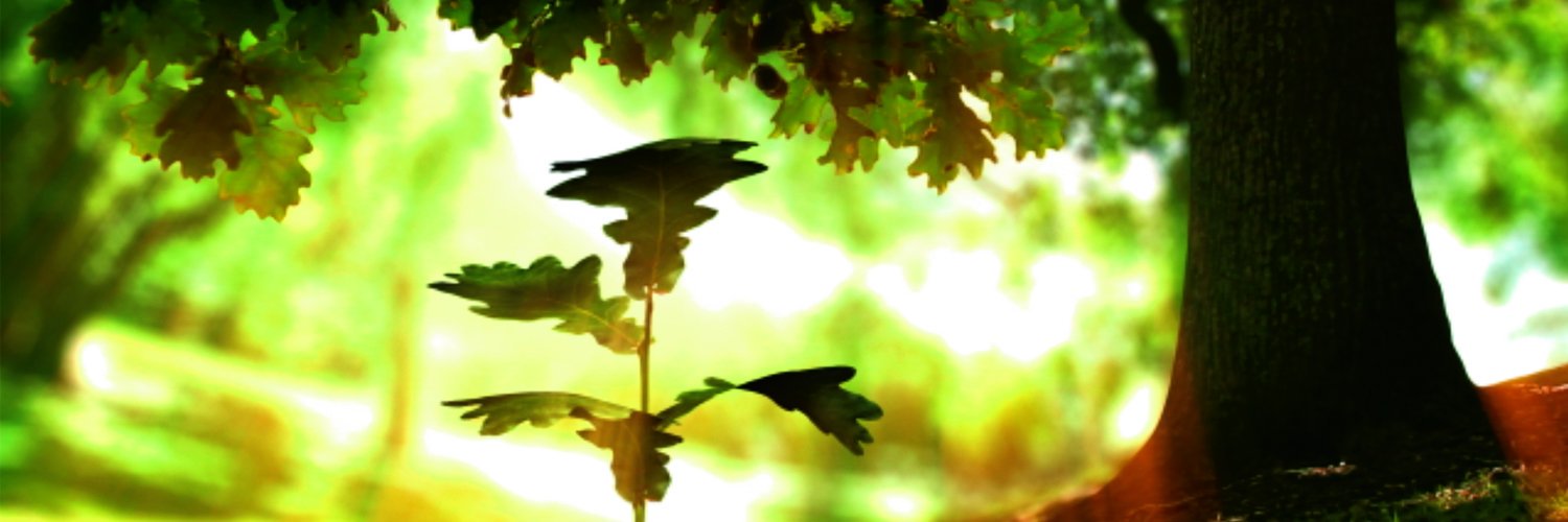 wa_beck's profile banner image