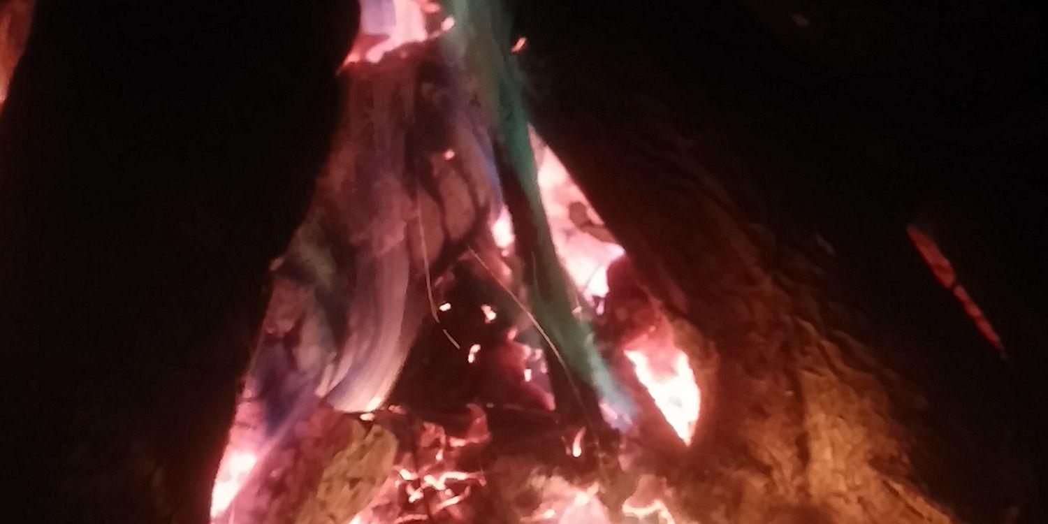 Dr Damien P Williams wants you to leave this place banner