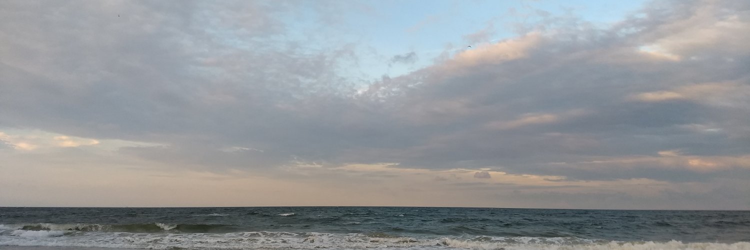 Erin Stanfill banner