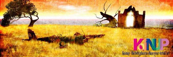 koinup Profile Banner