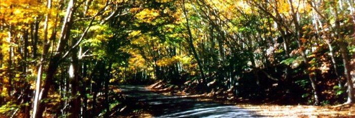 Pete Hannah🖊️ formerly Member389 banner