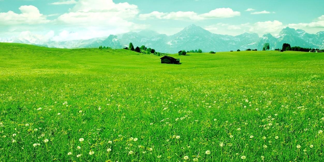 EthicalEdible's profile banner image