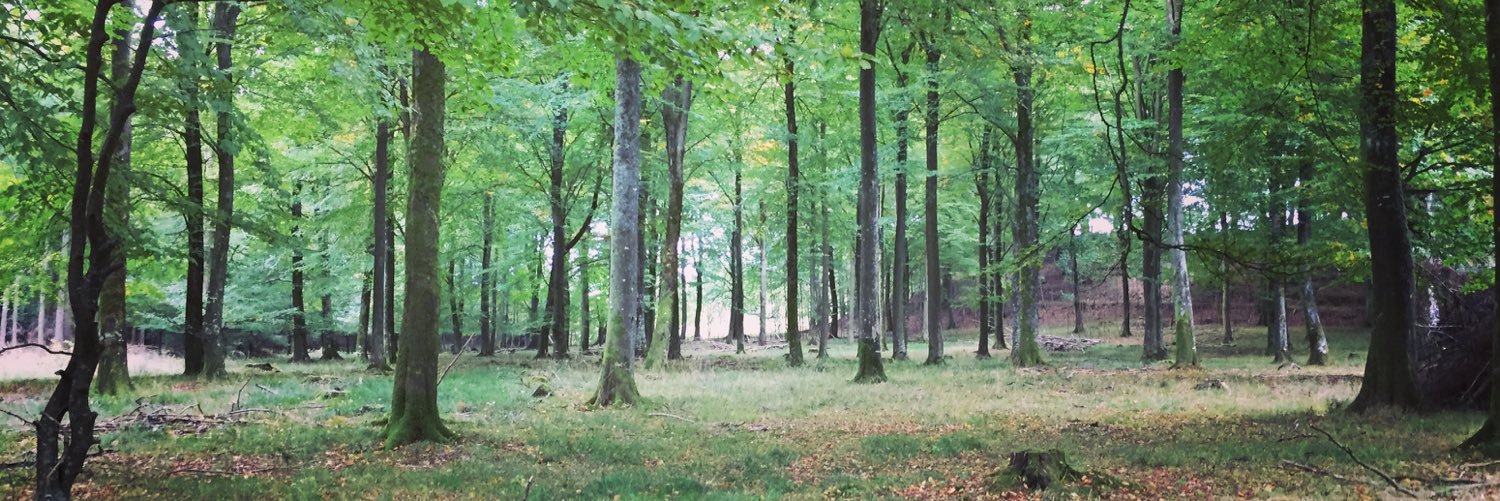 Lykkeborreskov's profile banner image