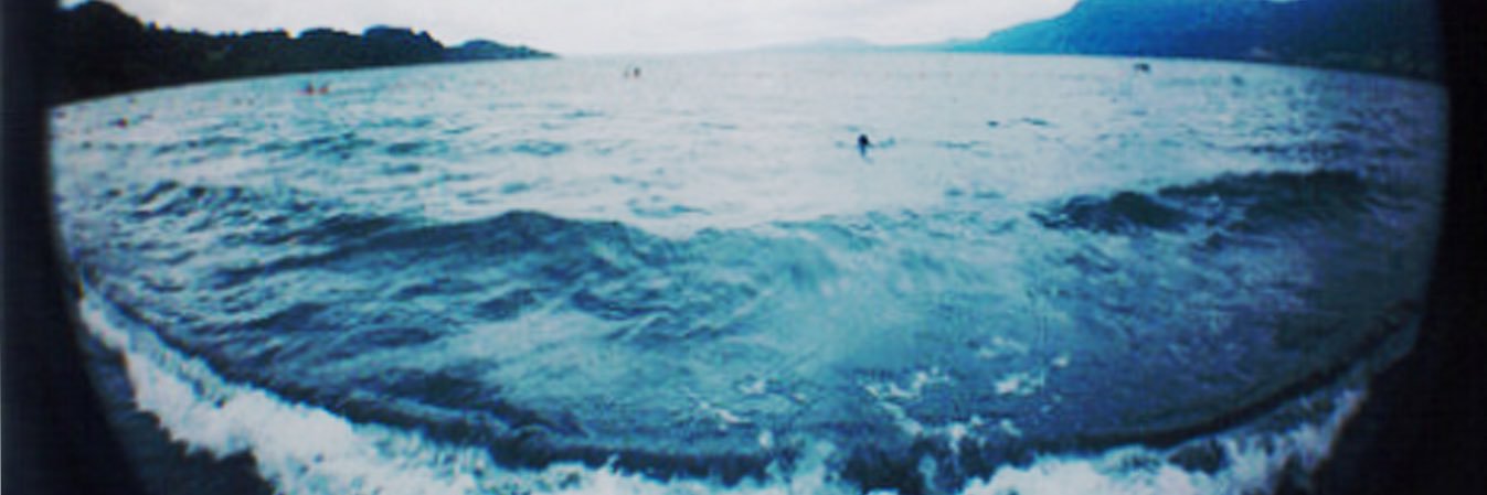 Andreu banner