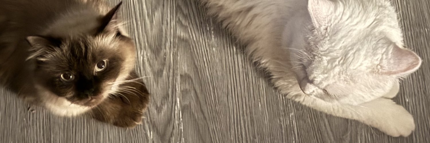 AlxndrCln's profile banner image