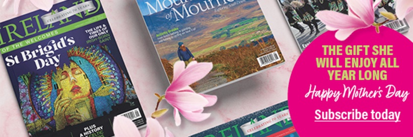 IrelandoftheWelcomes banner