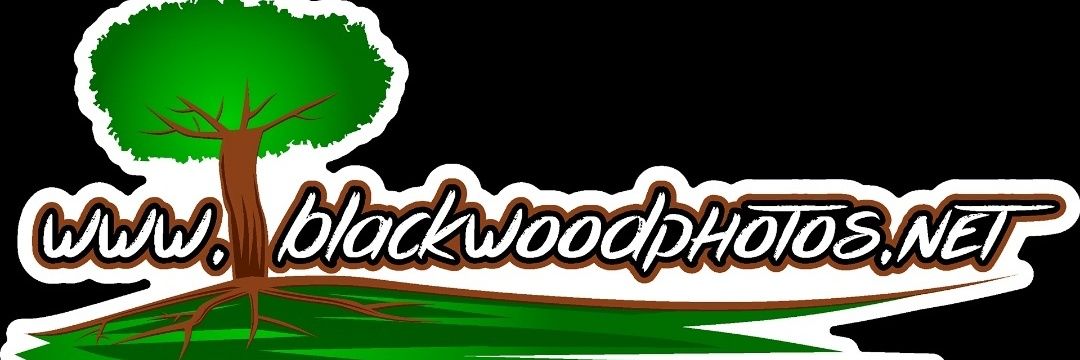 Michael Anderson jnr 🎗️♻️📸 banner