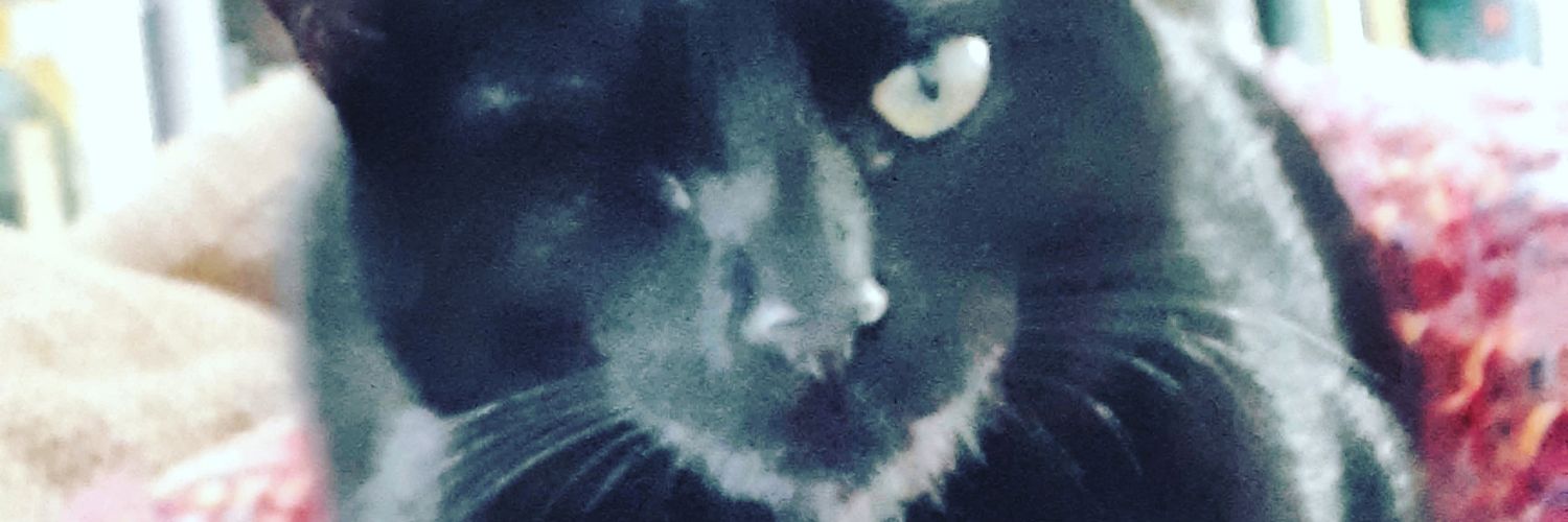 lyzabett's profile banner image