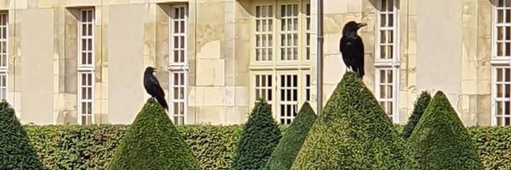 HorstHeitz's profile banner image