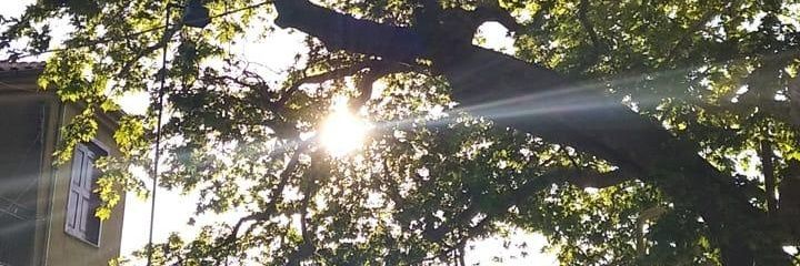 taxkar12's profile banner image
