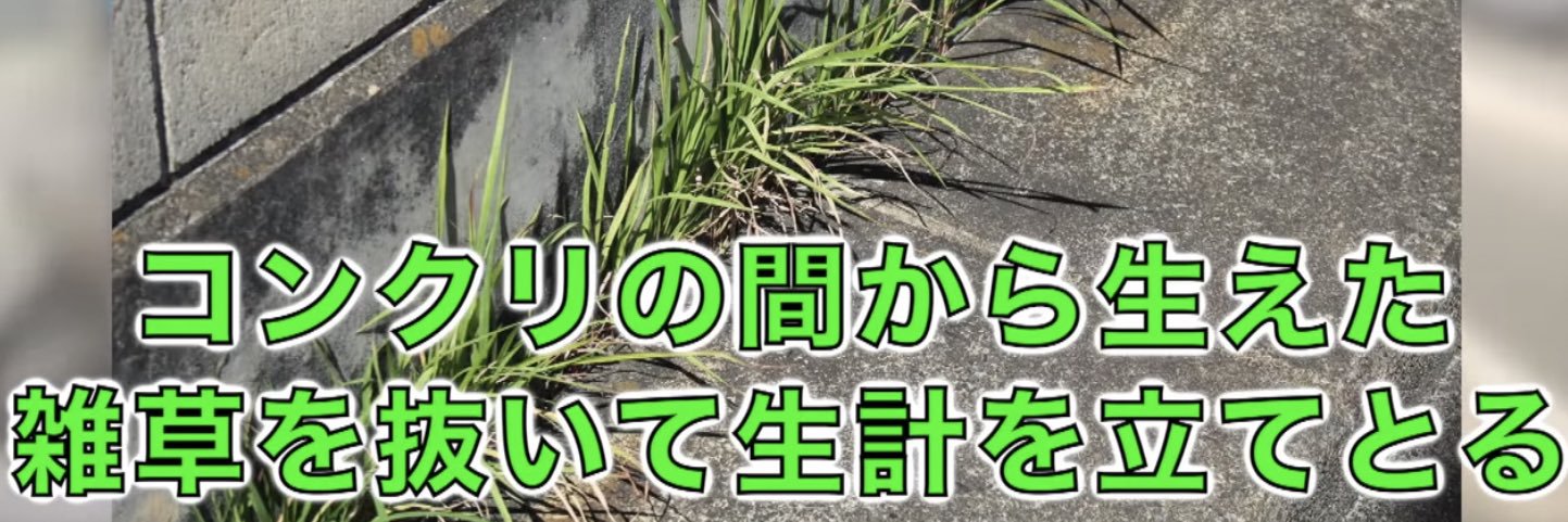 T4te a.k.a.OkT⚡ banner