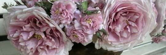 teruko_irf's profile banner image