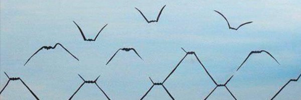 clacardone Profile Banner