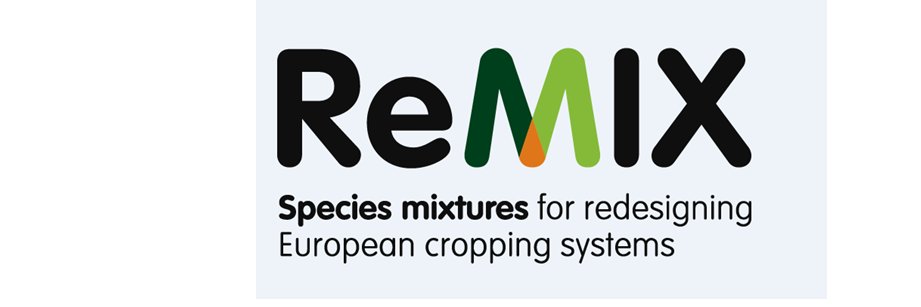 Remix Intercrops banner