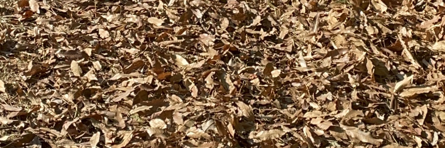 erinosuke22's profile banner image
