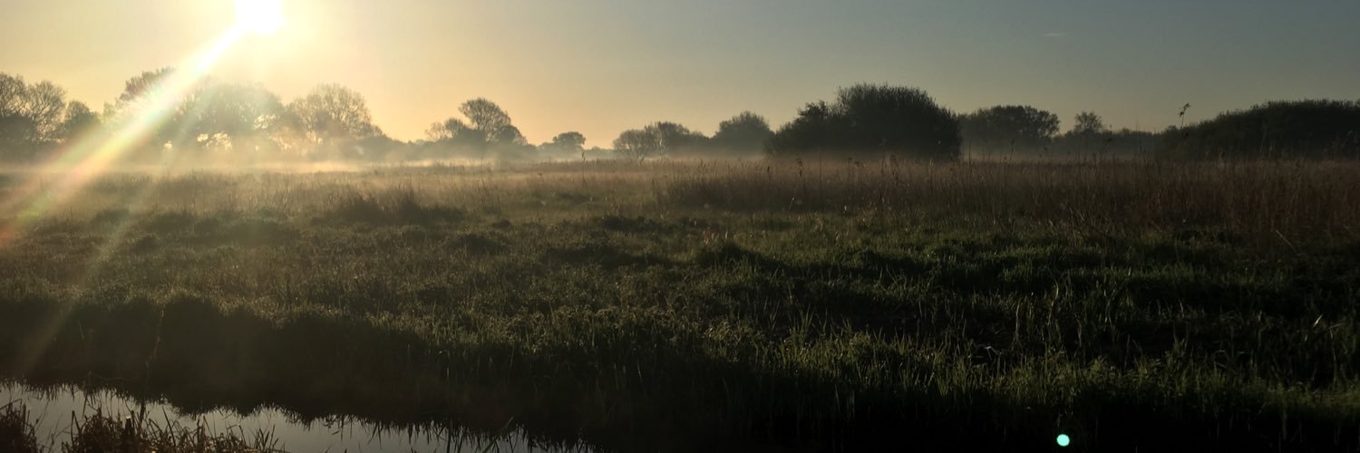 Norfolk Badger Trust banner