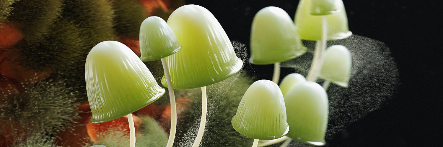 Andréa Philippon banner