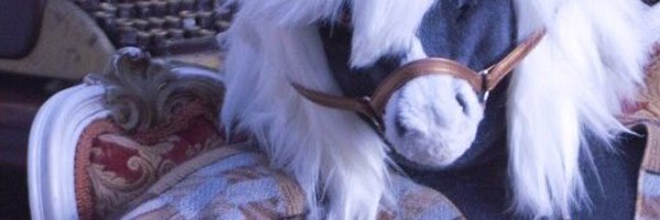 velochups Profile Banner