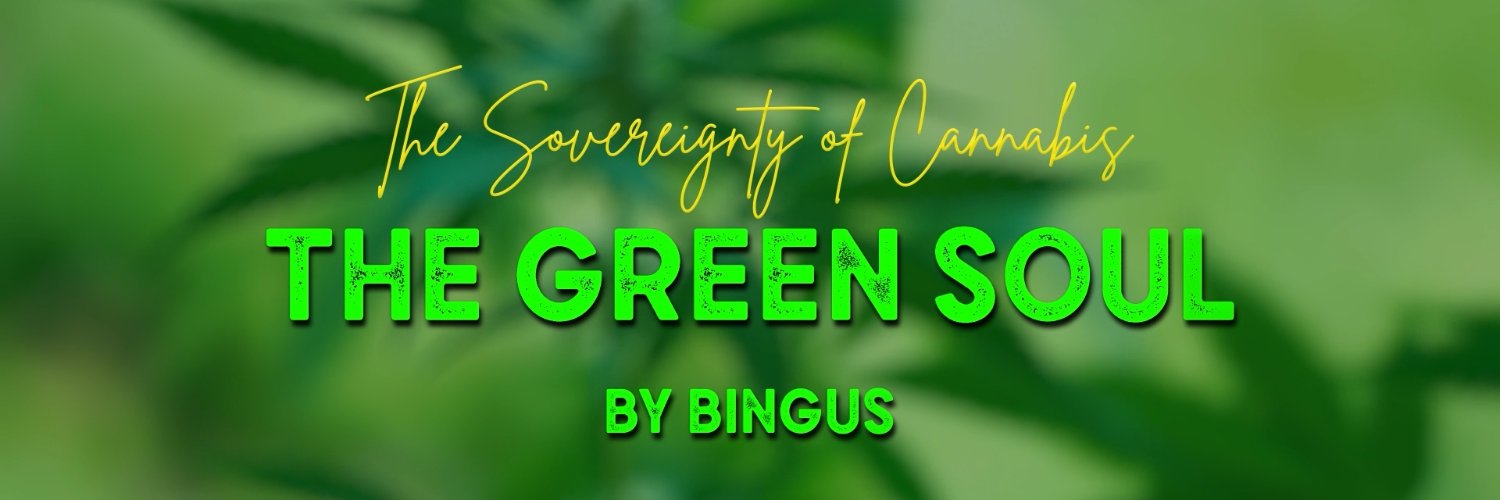 Bingus503's profile banner image